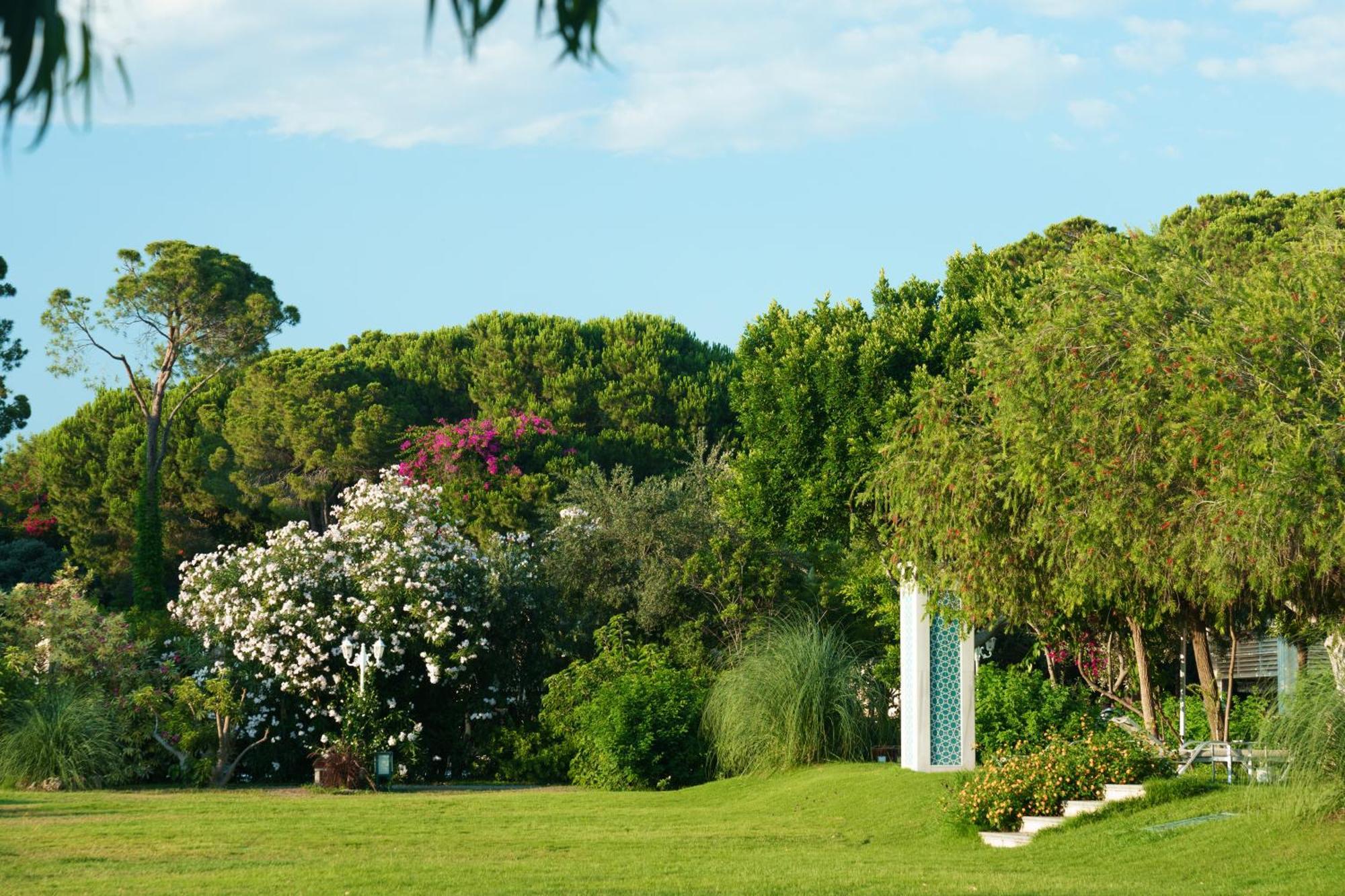 Ali Bey Resort Sorgun シダ エクステリア 写真
